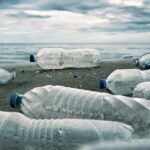 5dd70d6cda9bbc83d9d057de_The-impact-of-plastic-water-bottles-hero-image